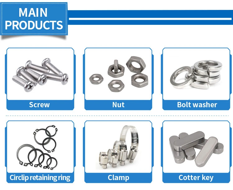 Blue Flat Phillips Concrete Screws Diamond Point Screw Anchor