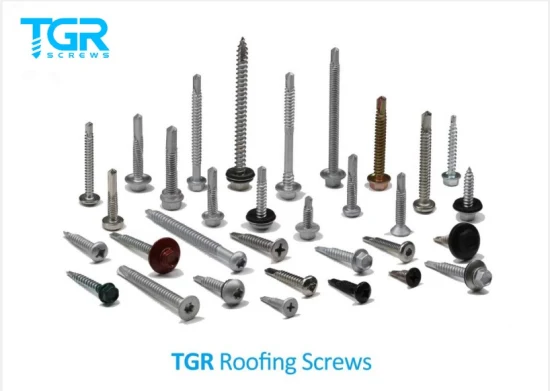 TGR/Tsingri Stainless Carbon Steel Self Tapping Drilling Screws Chipboard Wood Deck Drywall Concrete Screws Type 17 Timber Screws PT Screws